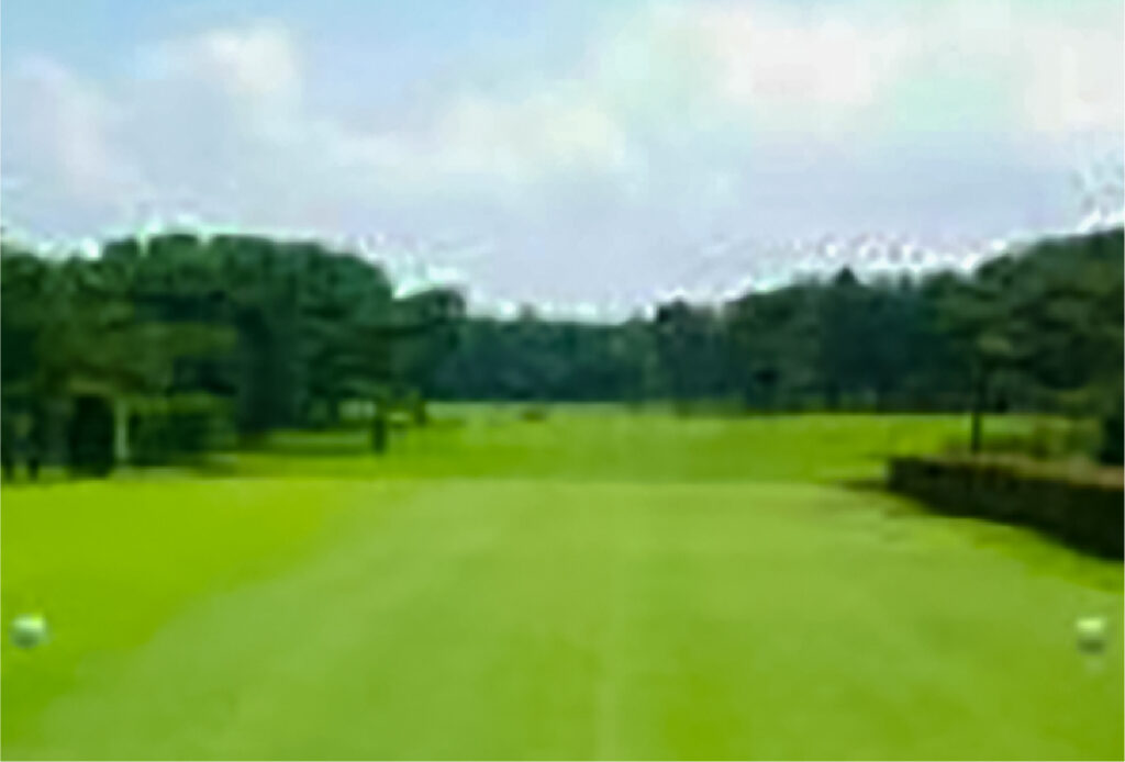 1番ホールティーグラウンドから見たフェアウェイと池の美しい景観