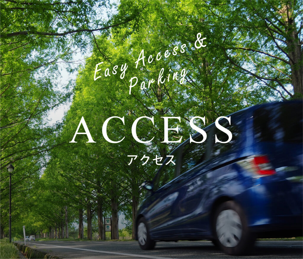 緑豊かな並木道を走る車とアジア下館カントリークラブへの快適なアクセス環境